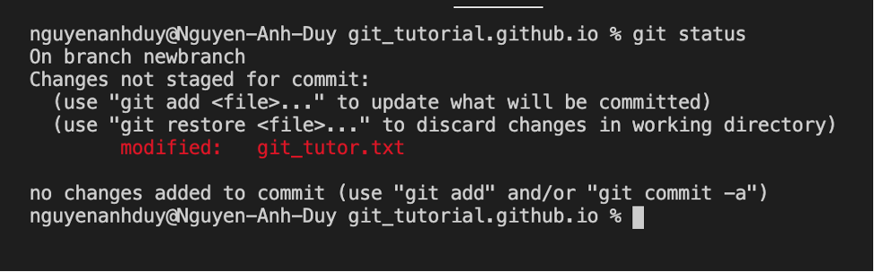 git status