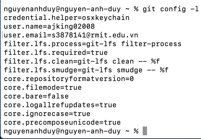 git config -l
